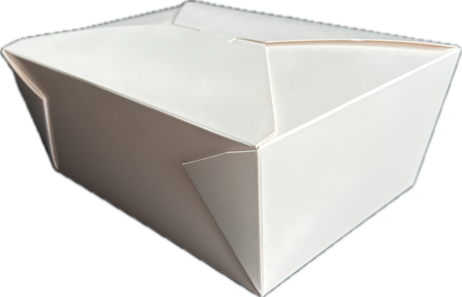 #4 Paper Bio Box - White